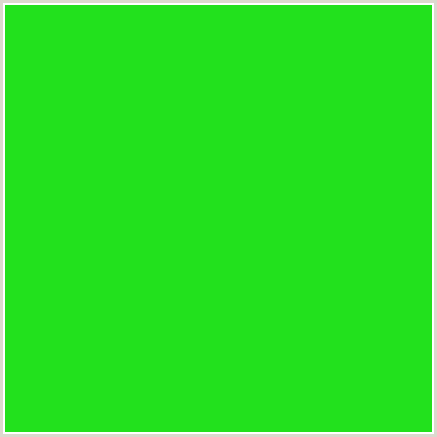 22E11D Hex Color Image (GREEN, MALACHITE)