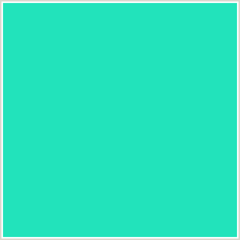 22E3BB Hex Color Image (BLUE GREEN, JAVA)