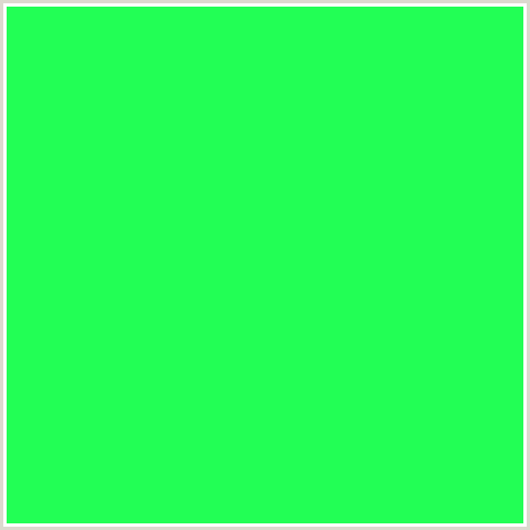 22FF55 Hex Color Image (GREEN, SPRING GREEN)