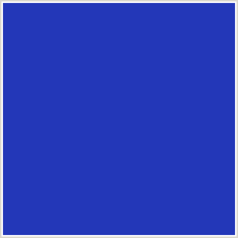 2337B8 Hex Color Image (BLUE, PERSIAN BLUE)