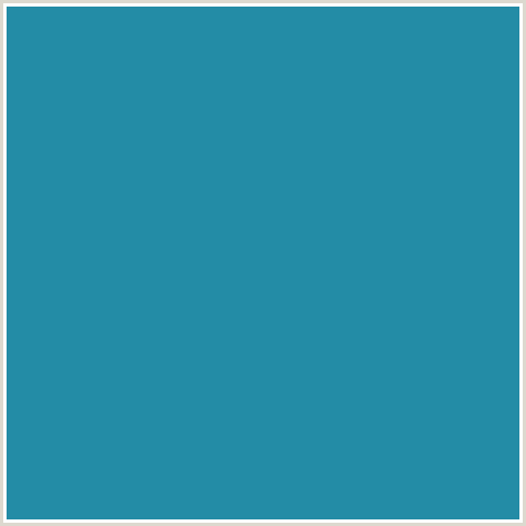 238CA6 Hex Color Image (EASTERN BLUE, LIGHT BLUE)