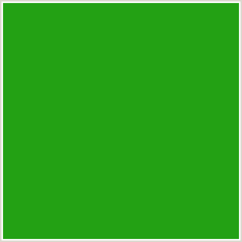 23A114 Hex Color Image (GREEN, LA PALMA)