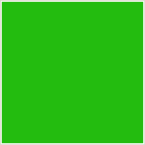 23BC0F Hex Color Image (CHRISTI, GREEN)