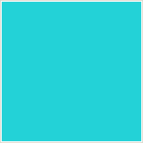 23D2D7 Hex Color Image (LIGHT BLUE, TURQUOISE)