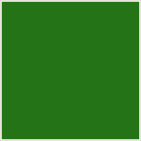 247417 Hex Color Image (BILBAO, FOREST GREEN, GREEN)
