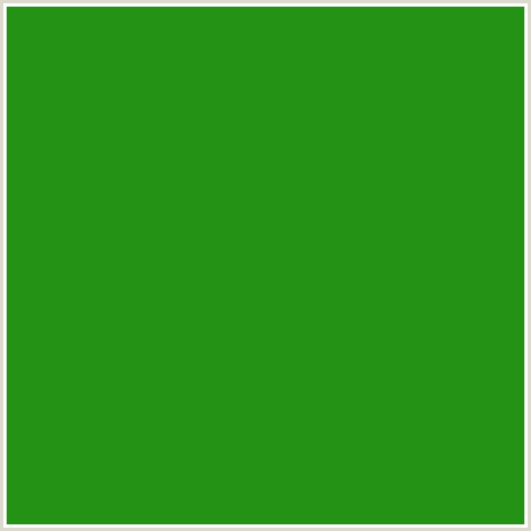 249215 Hex Color Image (FOREST GREEN, GREEN, LA PALMA)