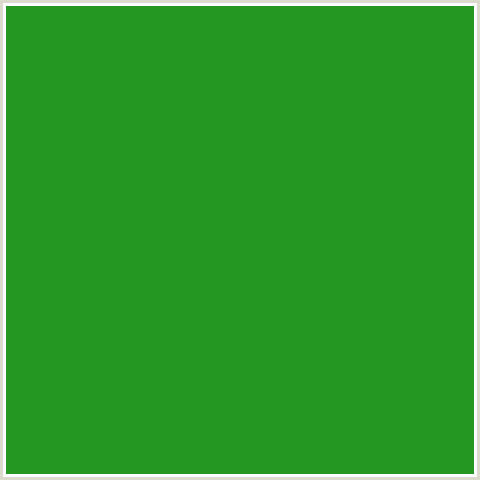 249622 Hex Color Image (FOREST GREEN, GREEN)