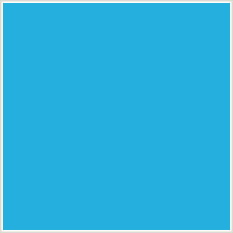 24B0DD Hex Color Image (CURIOUS BLUE, LIGHT BLUE)