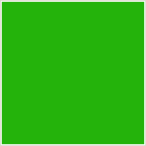 24B30B Hex Color Image (CHRISTI, GREEN)