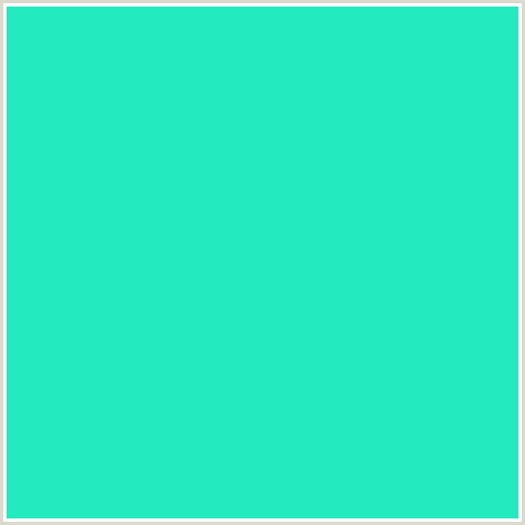 24EABF Hex Color Image (BLUE GREEN, BRIGHT TURQUOISE)