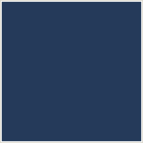253A5A Hex Color Image (BLUE, CLOUD BURST, MIDNIGHT BLUE)