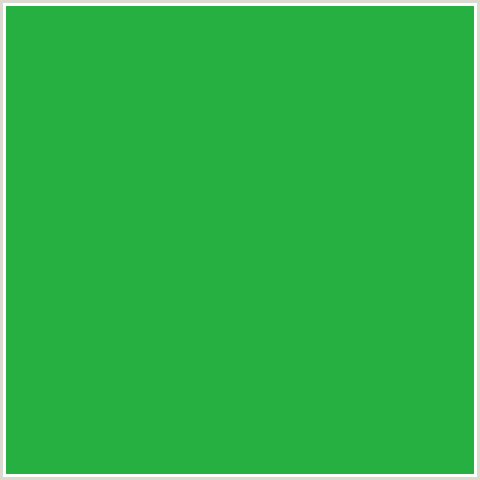 25B041 Hex Color Image (FOREST GREEN, GREEN)