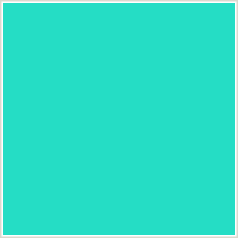 25DDC5 Hex Color Image (BLUE GREEN, TURQUOISE)