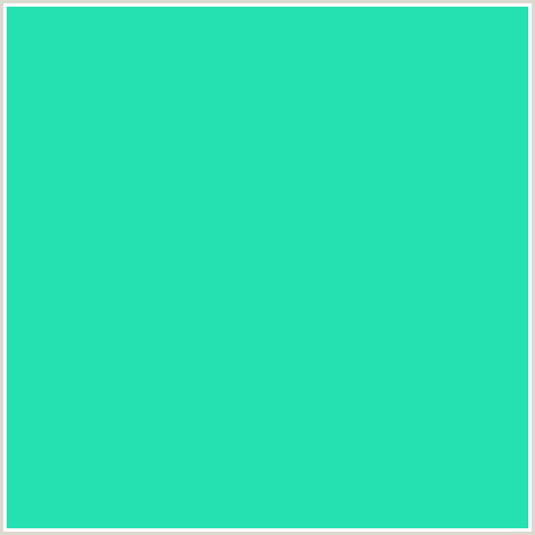 25E1B2 Hex Color Image (BLUE GREEN, TURQUOISE)