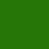 267607 Hex Color Image (FOREST GREEN, GREEN, JAPANESE LAUREL)