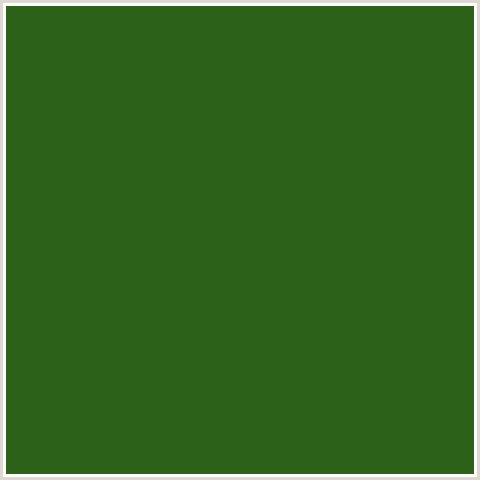 2C6119 Hex Color Image (DELL, GREEN)