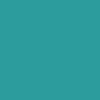 2C9C9D Hex Color Image (LIGHT BLUE, LOCHINVAR)