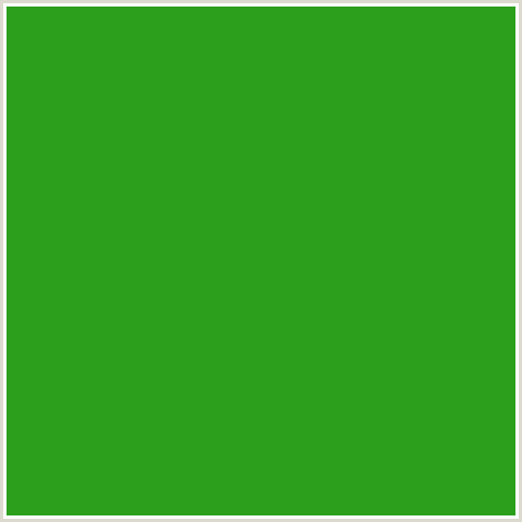 2C9F1C Hex Color Image (GREEN, LA PALMA)