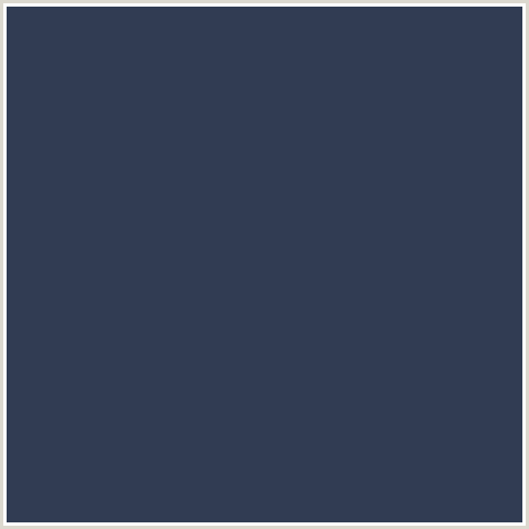 313C53 Hex Color Image (BLUE, PICKLED BLUEWOOD)
