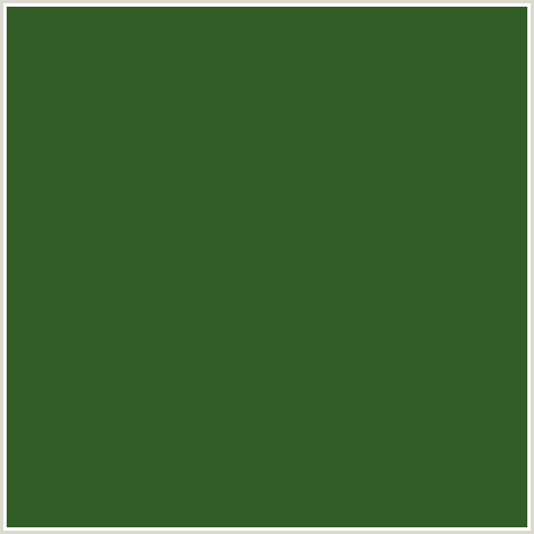 325C28 Hex Color Image (GREEN, WOODLAND)