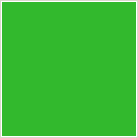 32B92D Hex Color Image (APPLE, GREEN)