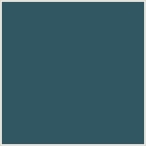 335663 Hex Color Image (CASAL, LIGHT BLUE)