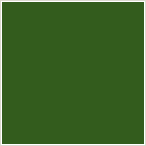 335C1D Hex Color Image (GREEN, PARSLEY)
