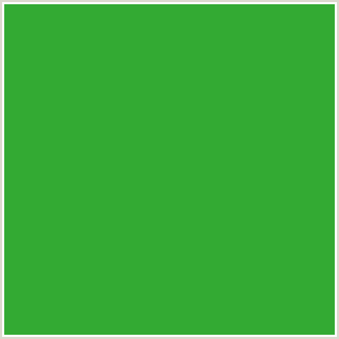 33AA33 Hex Color Image (APPLE, GREEN)