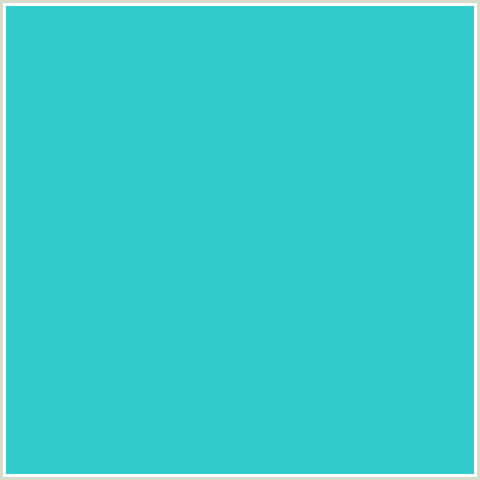 33CCCC Hex Color Image (LIGHT BLUE, TURQUOISE)