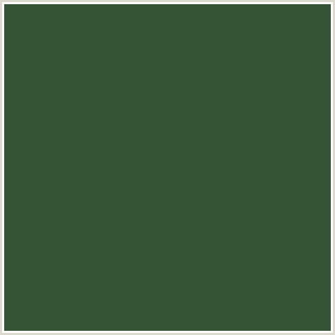 345435 Hex Color Image (GREEN, TOM THUMB)