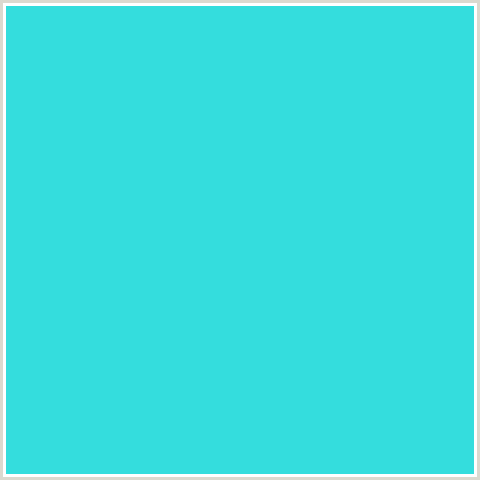 34DDDD Hex Color Image (LIGHT BLUE, TURQUOISE)