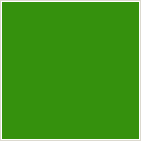 35910D Hex Color Image (FOREST GREEN, GREEN, LA PALMA)