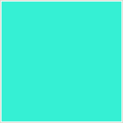 35F0D4 Hex Color Image (BLUE GREEN, BRIGHT TURQUOISE)