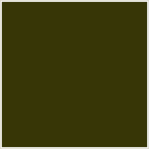 363607 Hex Color Image (BRONZE OLIVE, YELLOW GREEN)