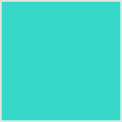 36D8C9 Hex Color Image (BLUE GREEN, TURQUOISE)