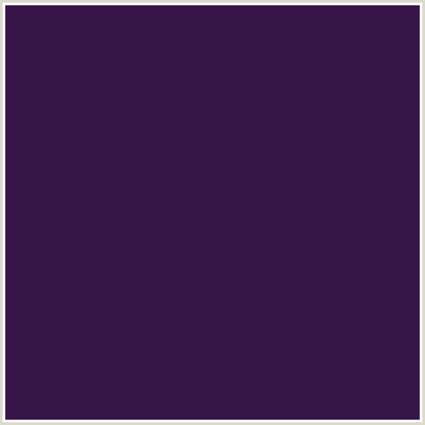 371647 Hex Color Image (GRAPE, PURPLE, VIOLET)