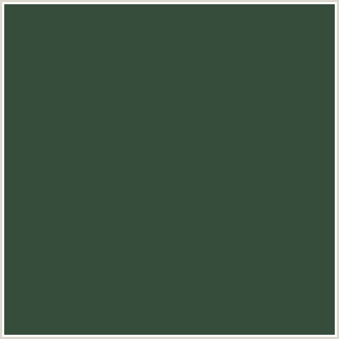 374D3C Hex Color Image (GREEN, LUNAR GREEN)