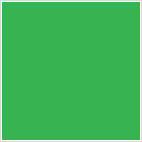37B44F Hex Color Image (CHATEAU GREEN, GREEN)