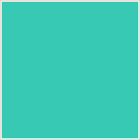 38C9B4 Hex Color Image (BLUE GREEN, PUERTO RICO)
