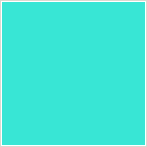 38E6D5 Hex Color Image (BLUE GREEN, TURQUOISE)