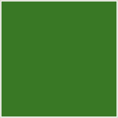 397825 Hex Color Image (FOREST GREEN, GREEN)