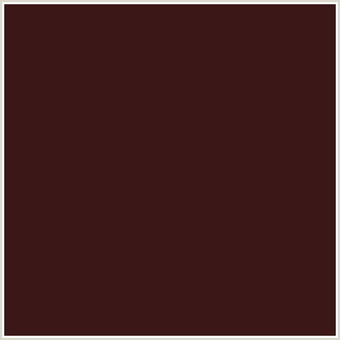 3A1717 Hex Color Image (RED, TAMARIND)