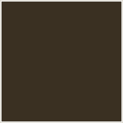 3A3022 Hex Color Image (BIRCH, BROWN, ORANGE)