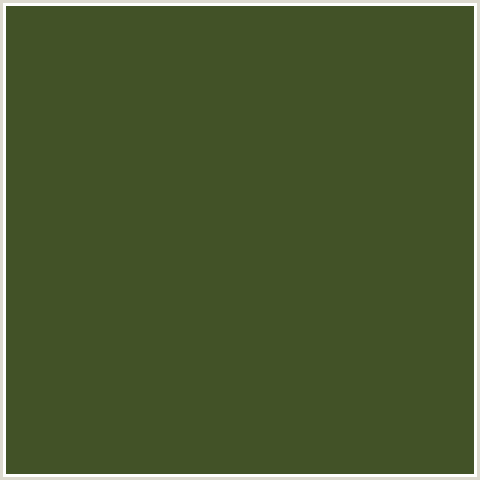 425227 Hex Color Image (GREEN YELLOW, WOODLAND)