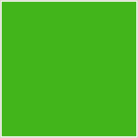 42B51B Hex Color Image (GREEN, VIDA LOCA)