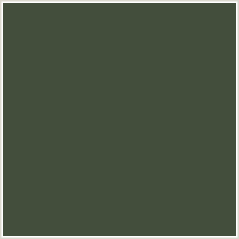 434E3C Hex Color Image (CABBAGE PONT, GREEN)
