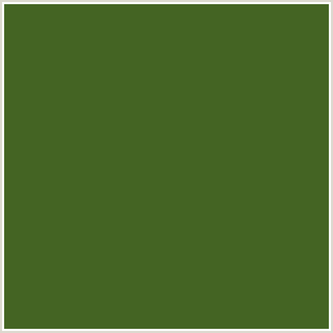 446423 Hex Color Image (FERN FROND, GREEN)
