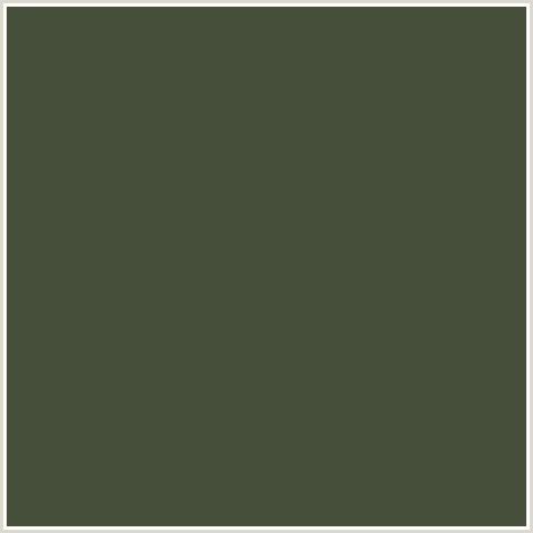 454F3A Hex Color Image (CABBAGE PONT, GREEN YELLOW)