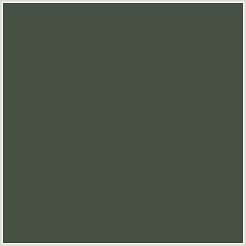 465143 Hex Color Image (GRAY ASPARAGUS, GREEN)
