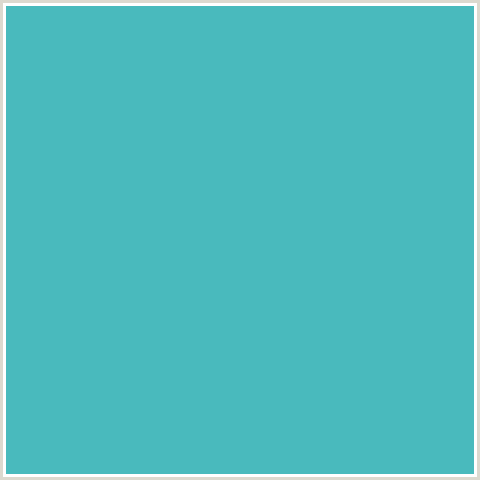 49BABD Hex Color Image (FOUNTAIN BLUE, LIGHT BLUE)